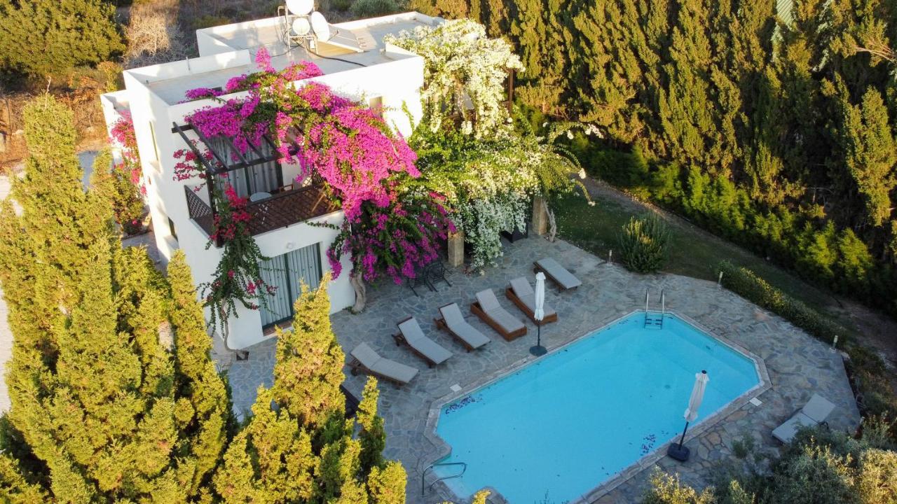 Banana Sunset Villas Пафос Екстериор снимка