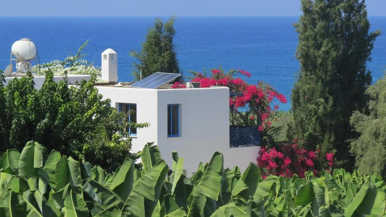 Banana Sunset Villas Пафос Екстериор снимка