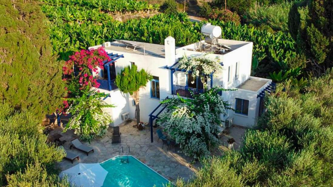 Banana Sunset Villas Пафос Екстериор снимка