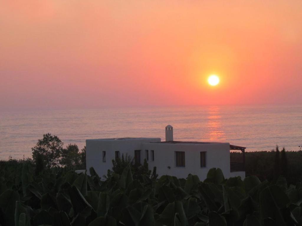 Banana Sunset Villas Пафос Екстериор снимка