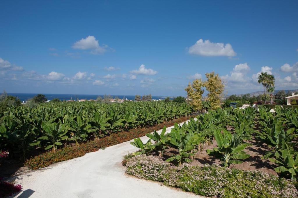 Banana Sunset Villas Пафос Екстериор снимка